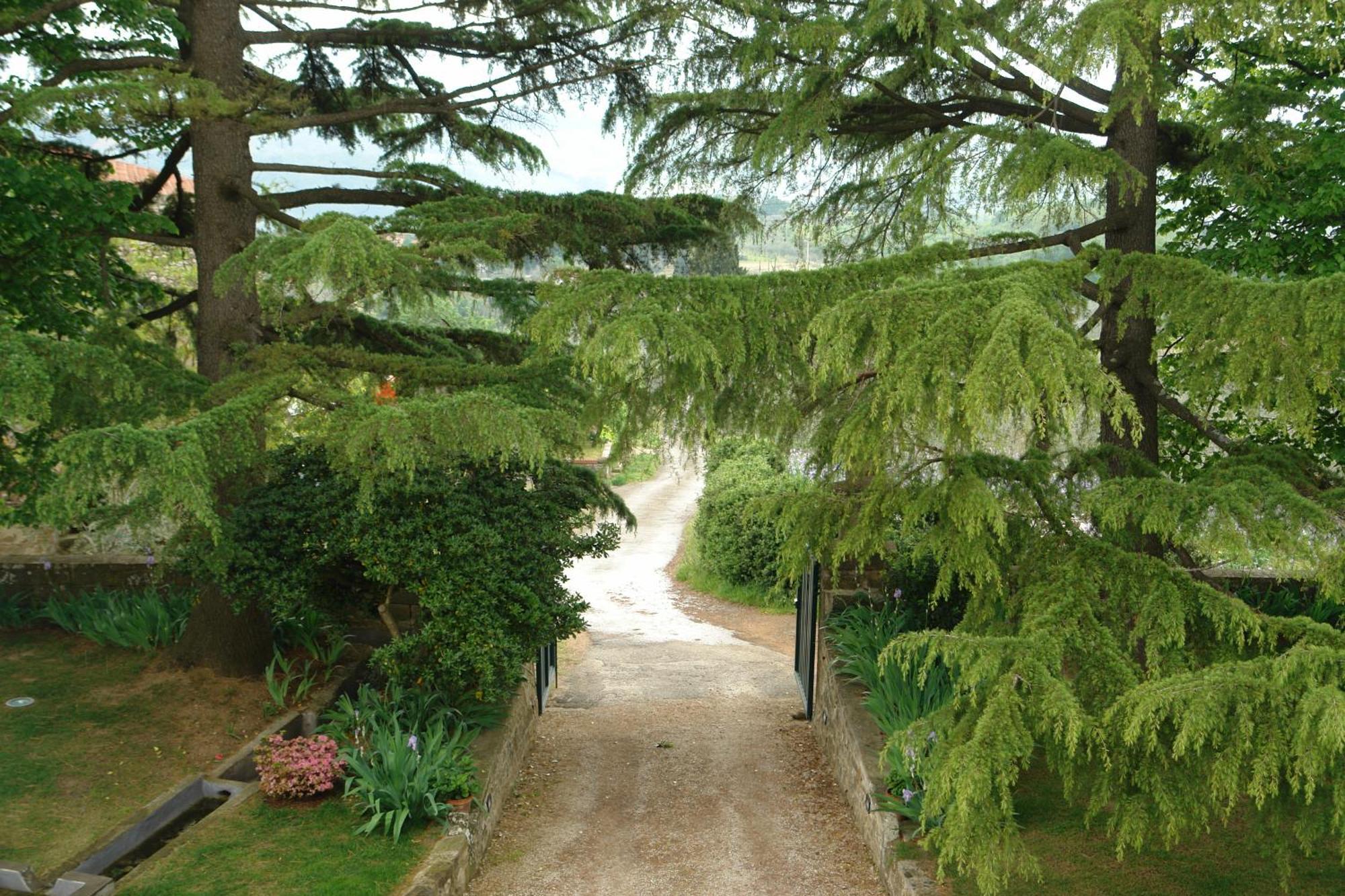 Relais Villa Belpoggio - Residenza D'Epoca 로로시우펜나 객실 사진